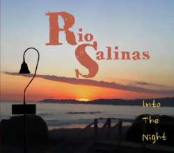Rio Salinas - Into the Night